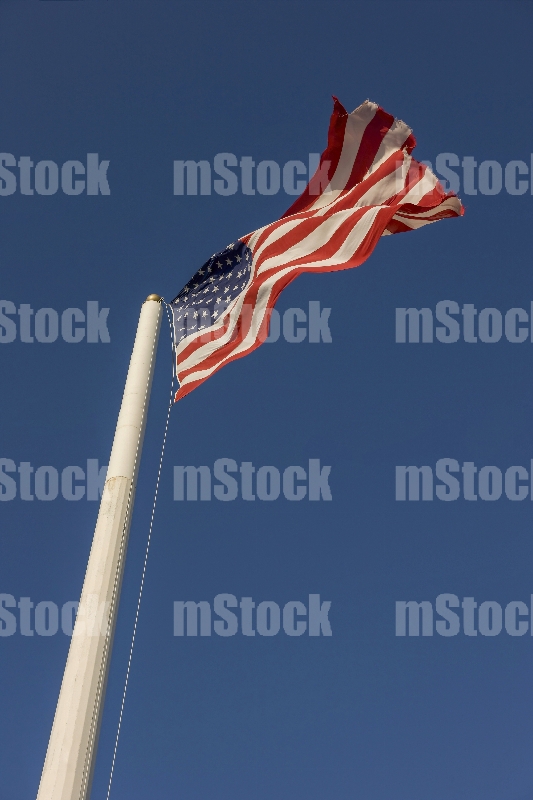 Bandera USA