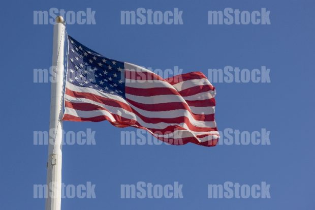 USA Flag