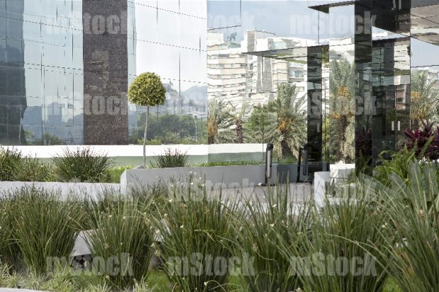 Servicio de Jardinería para oficinas