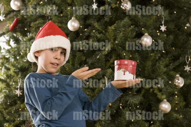 Regalo de Navidad