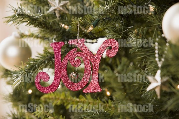 Adorno navideño Joy