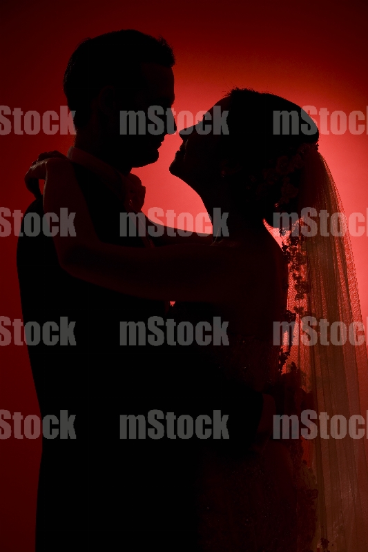 Pareja de Novios
