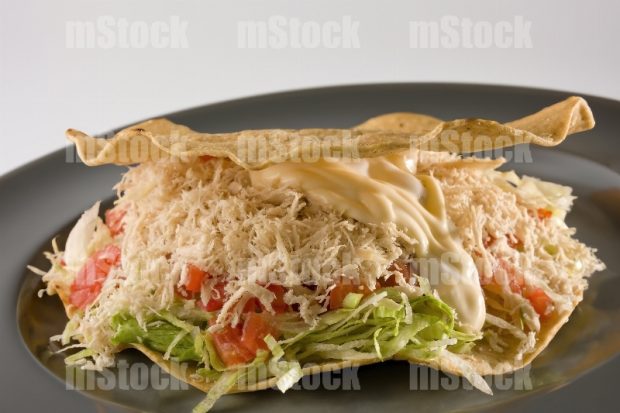 Tostada con pollo