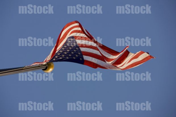 Bandera USA ondeando