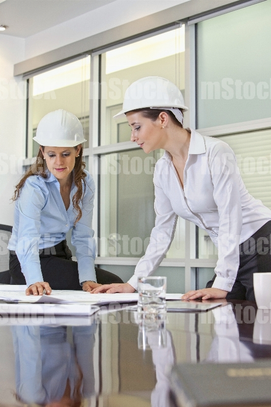 Ingenieros analizando proyecto